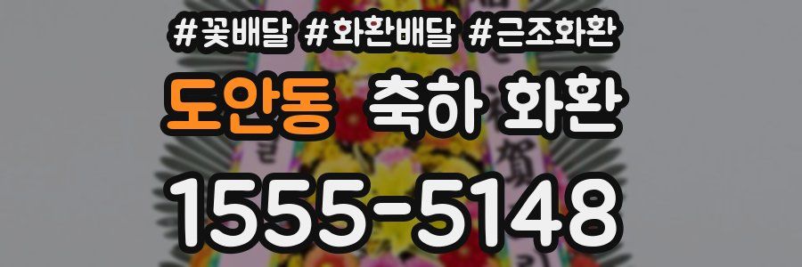 도안동 축하 화환