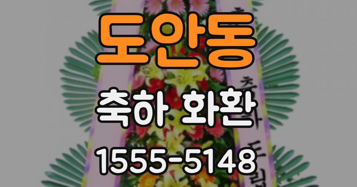 도안동 축하 화환