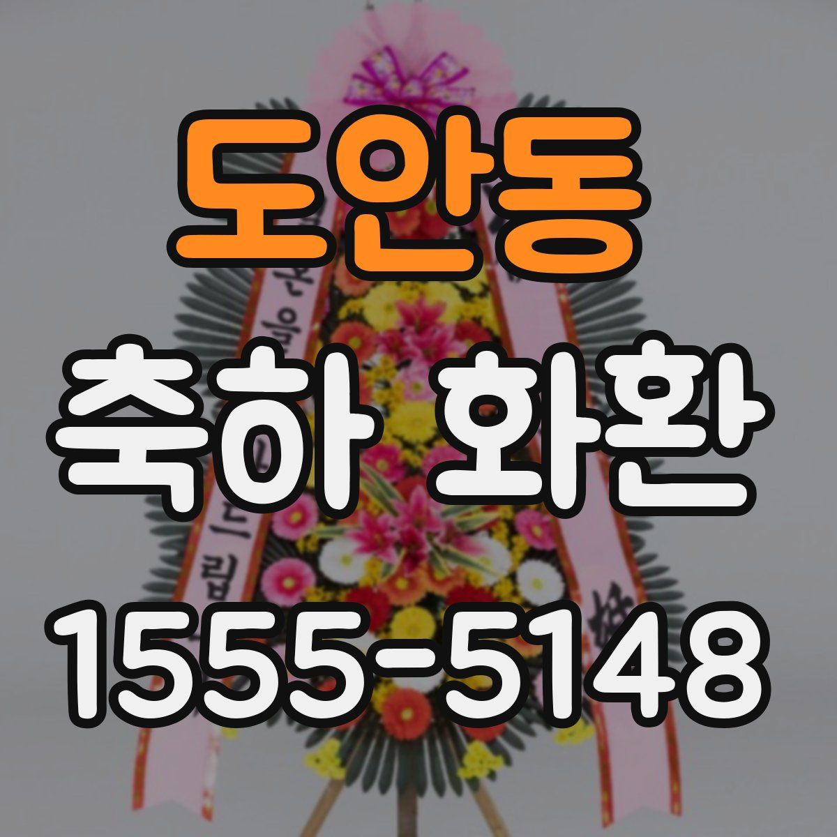 도안동 축하 화환