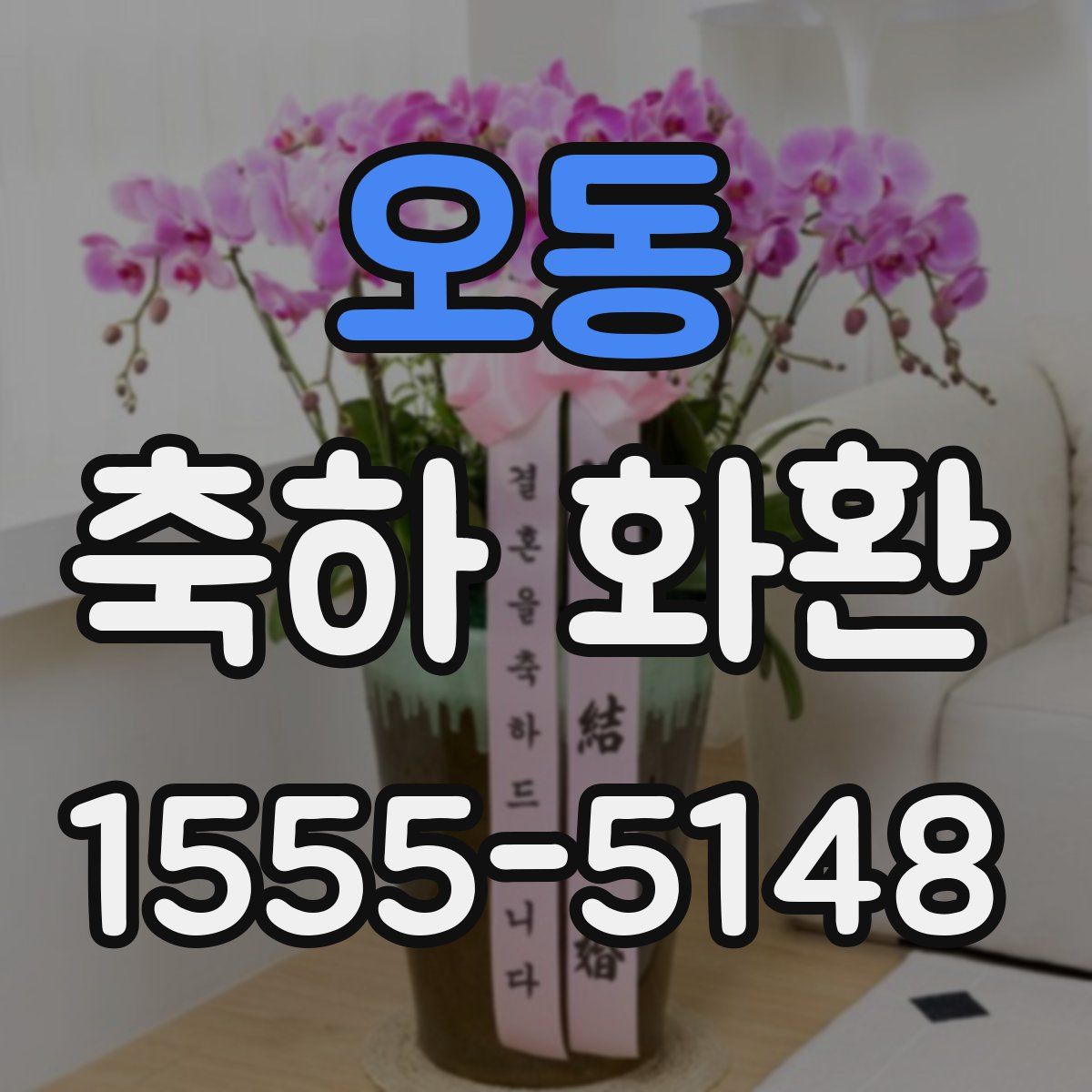 오동 축하 화환