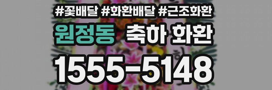원정동 축하 화환