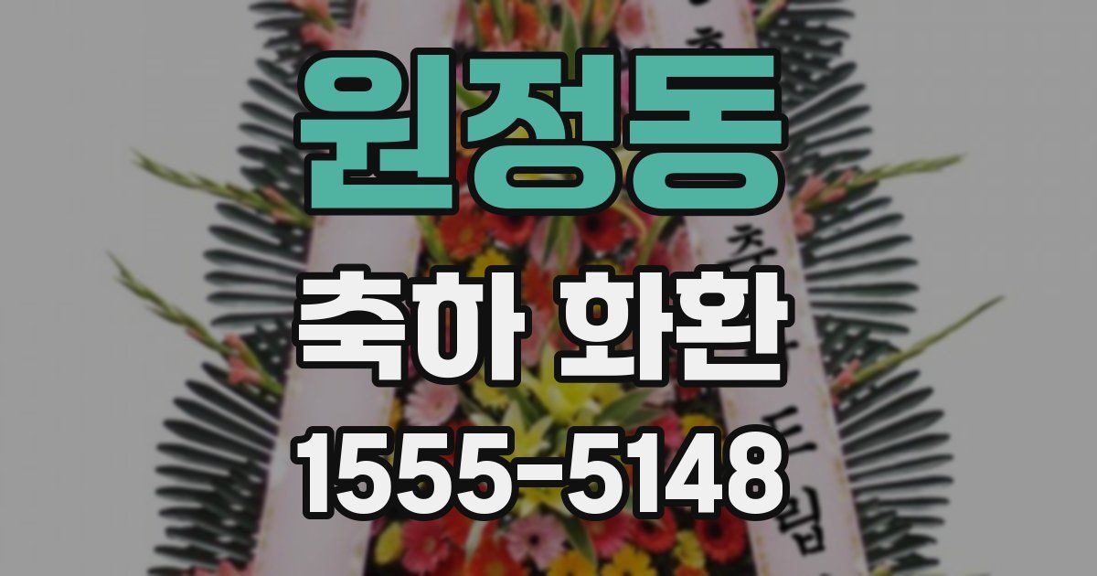 원정동 축하 화환