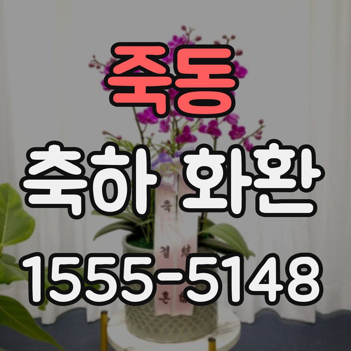 죽동 축하 화환