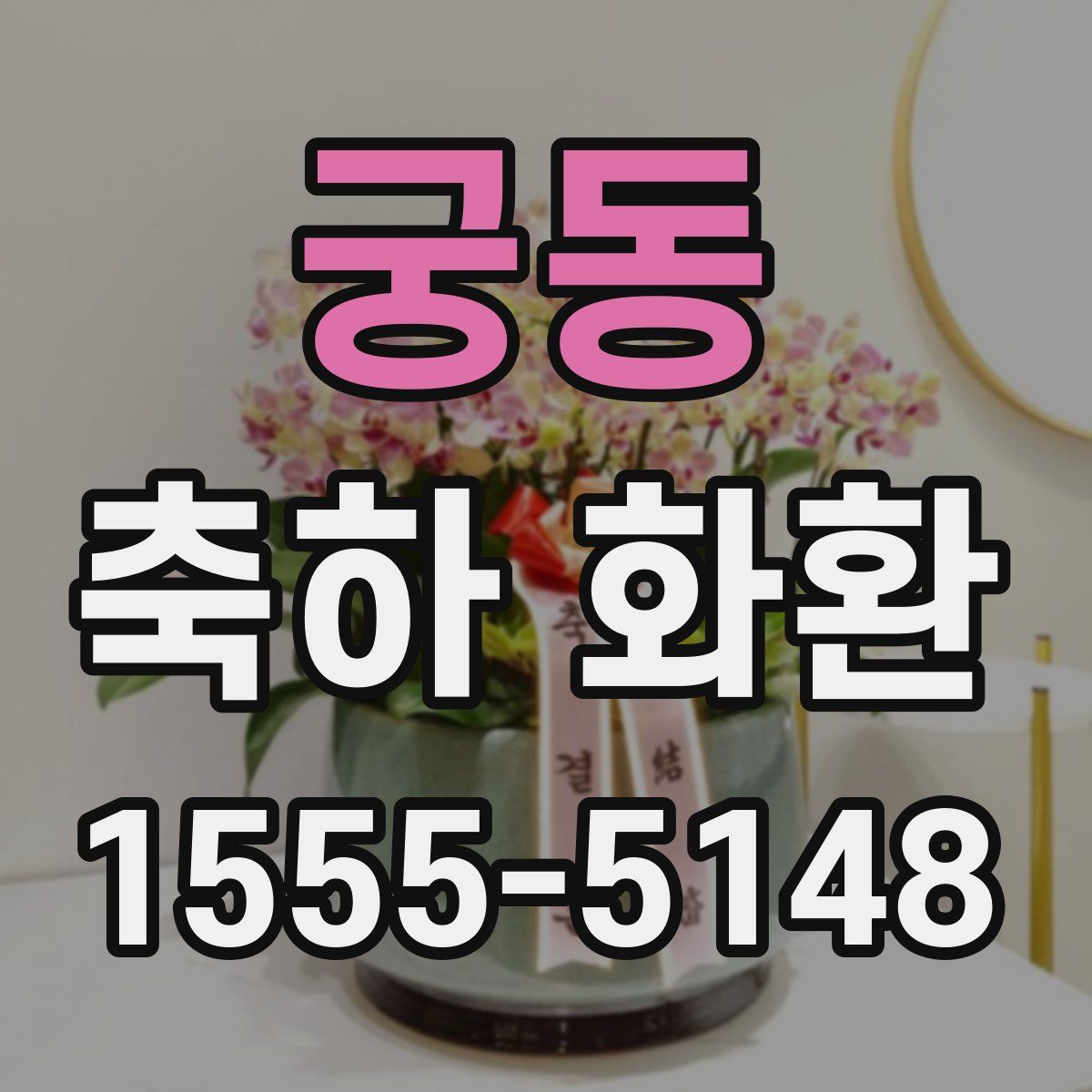 궁동 축하 화환