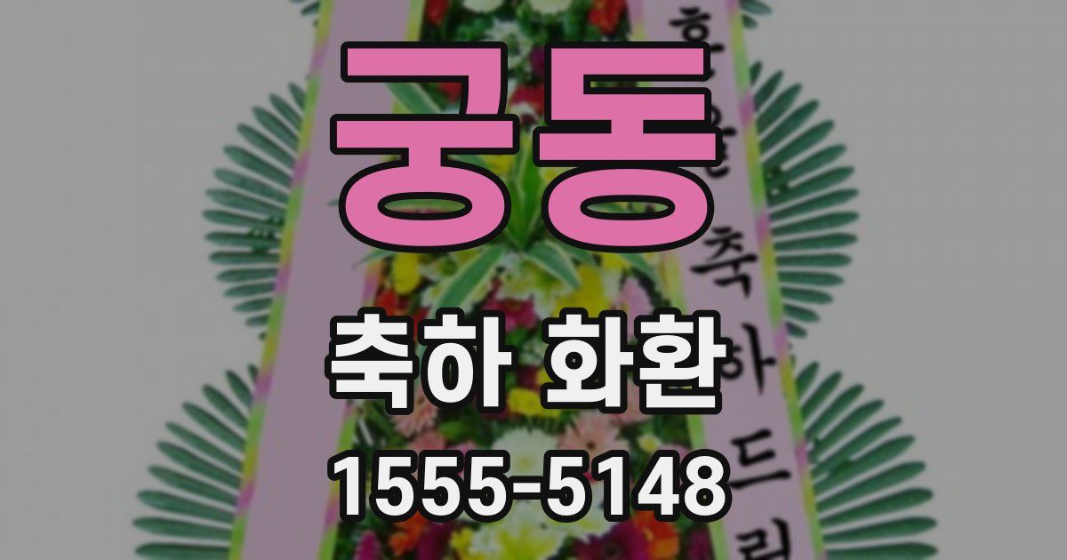 궁동 축하 화환