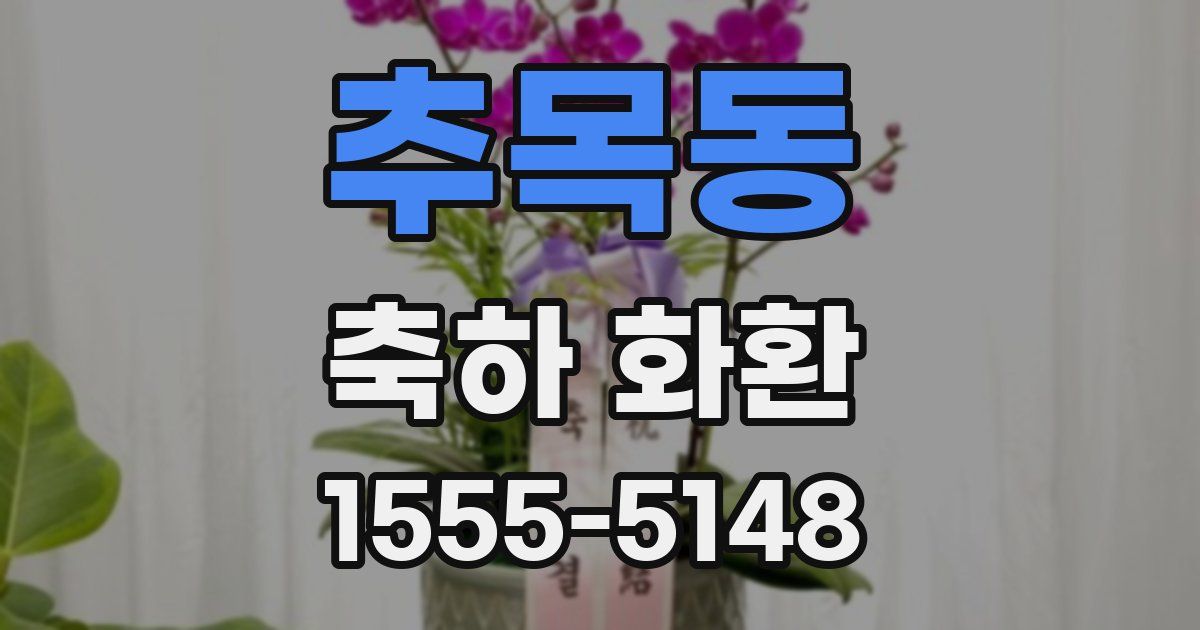 추목동 축하 화환