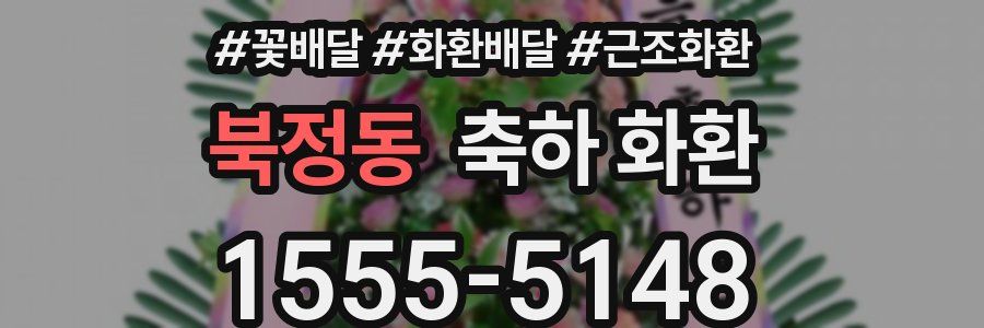 북정동 축하 화환