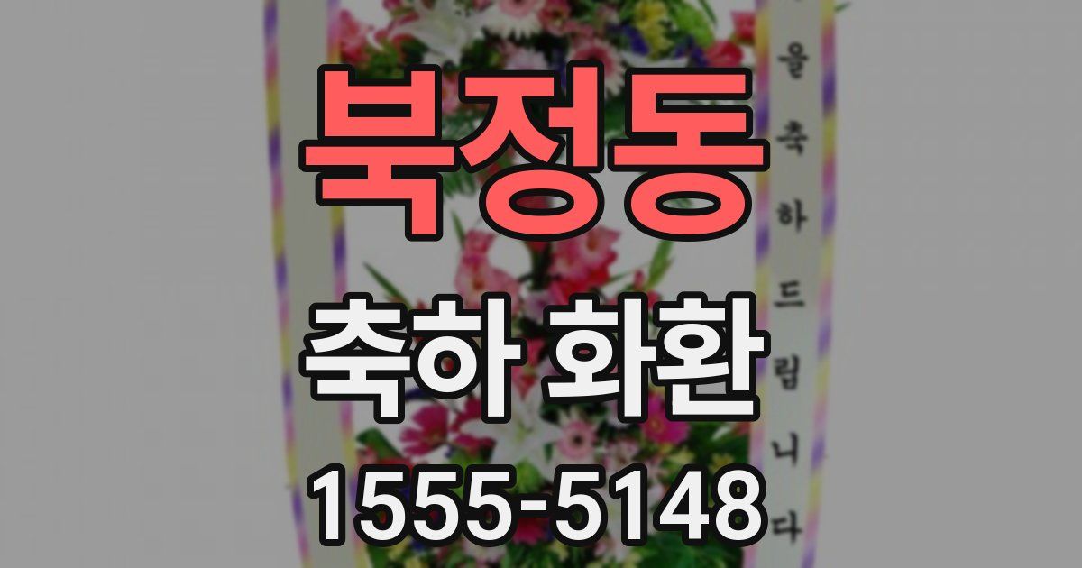북정동 축하 화환