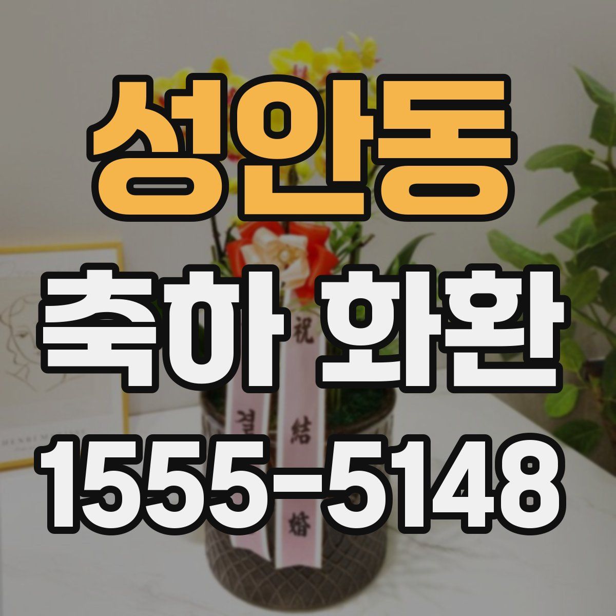 성안동 축하 화환