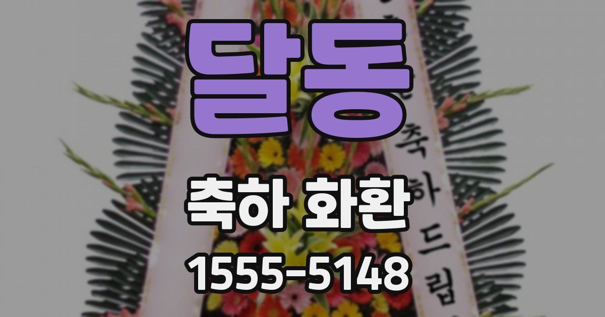 달동 축하 화환