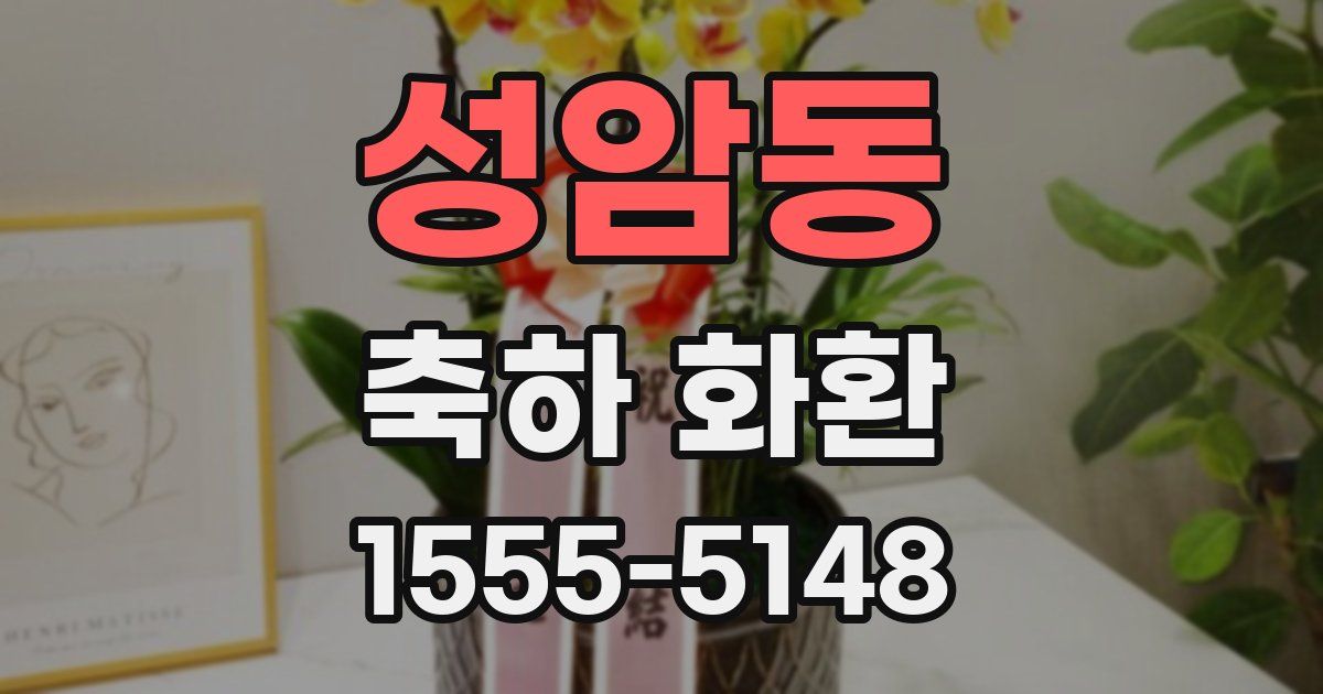 성암동 축하 화환