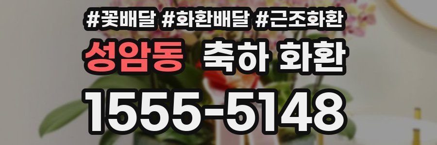 성암동 축하 화환