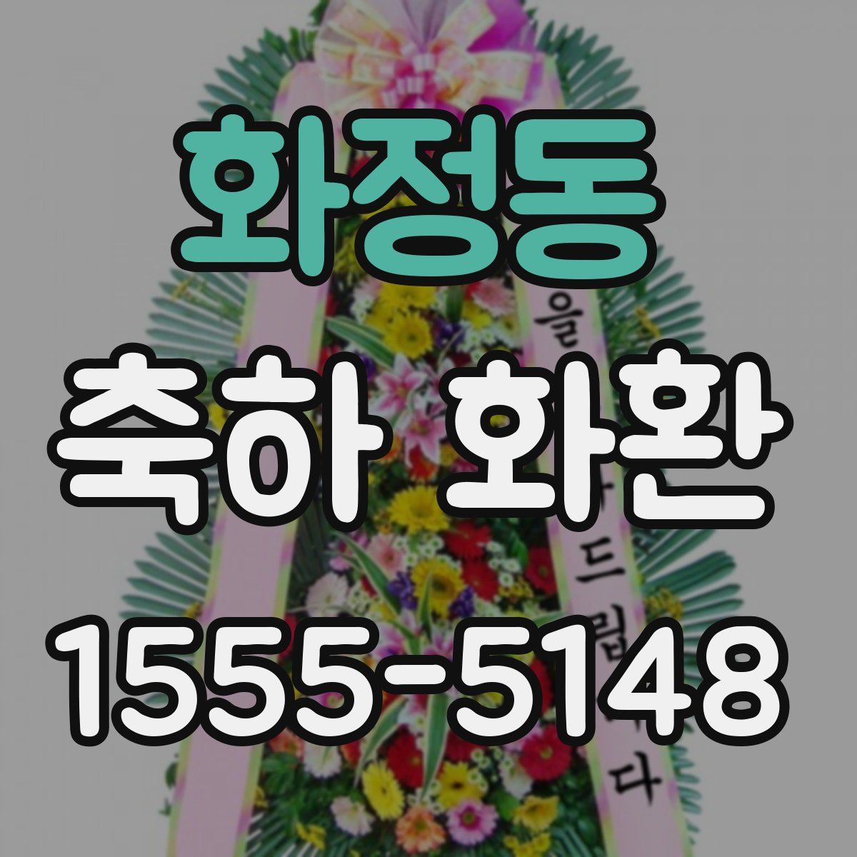 화정동 축하 화환