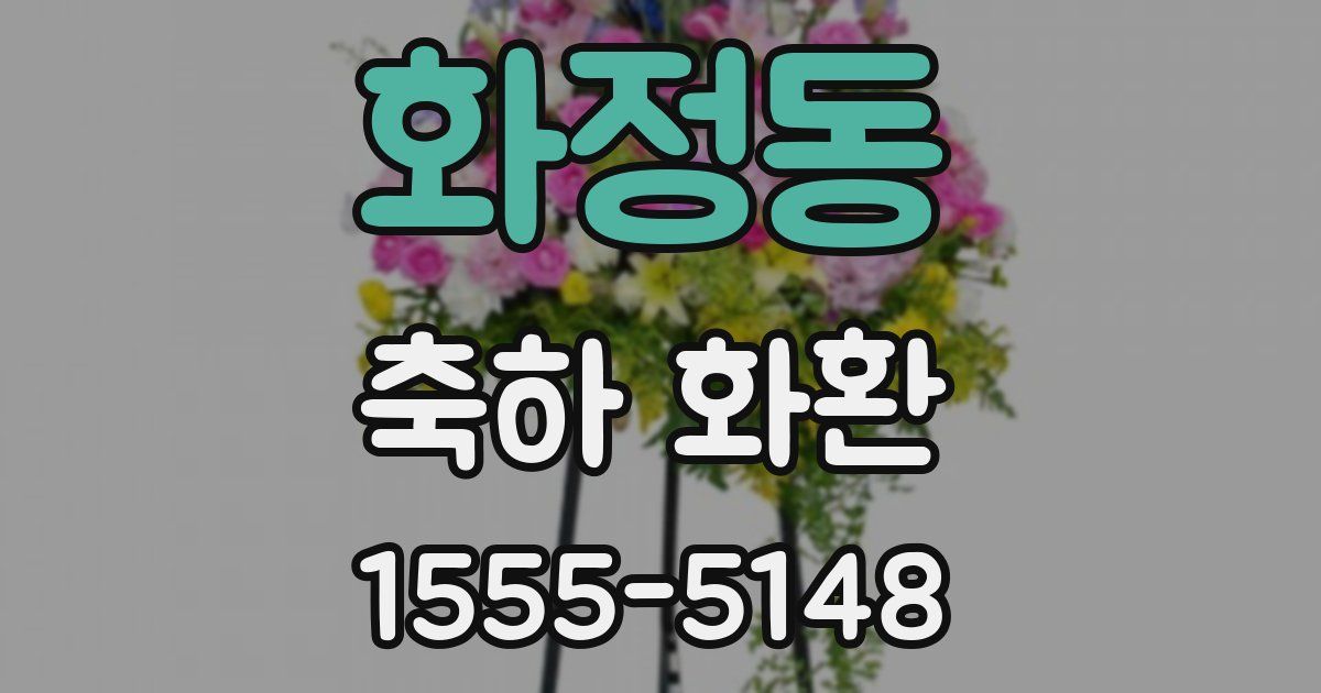 화정동 축하 화환