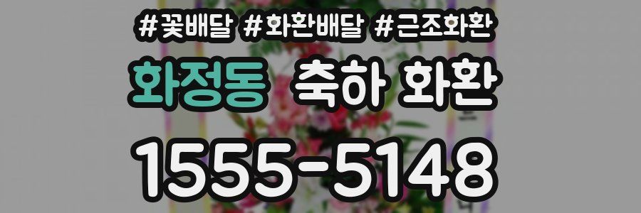 화정동 축하 화환