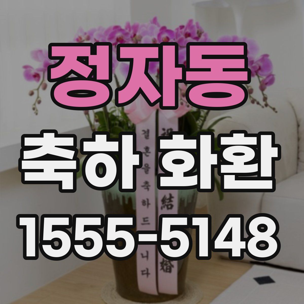 정자동 축하 화환