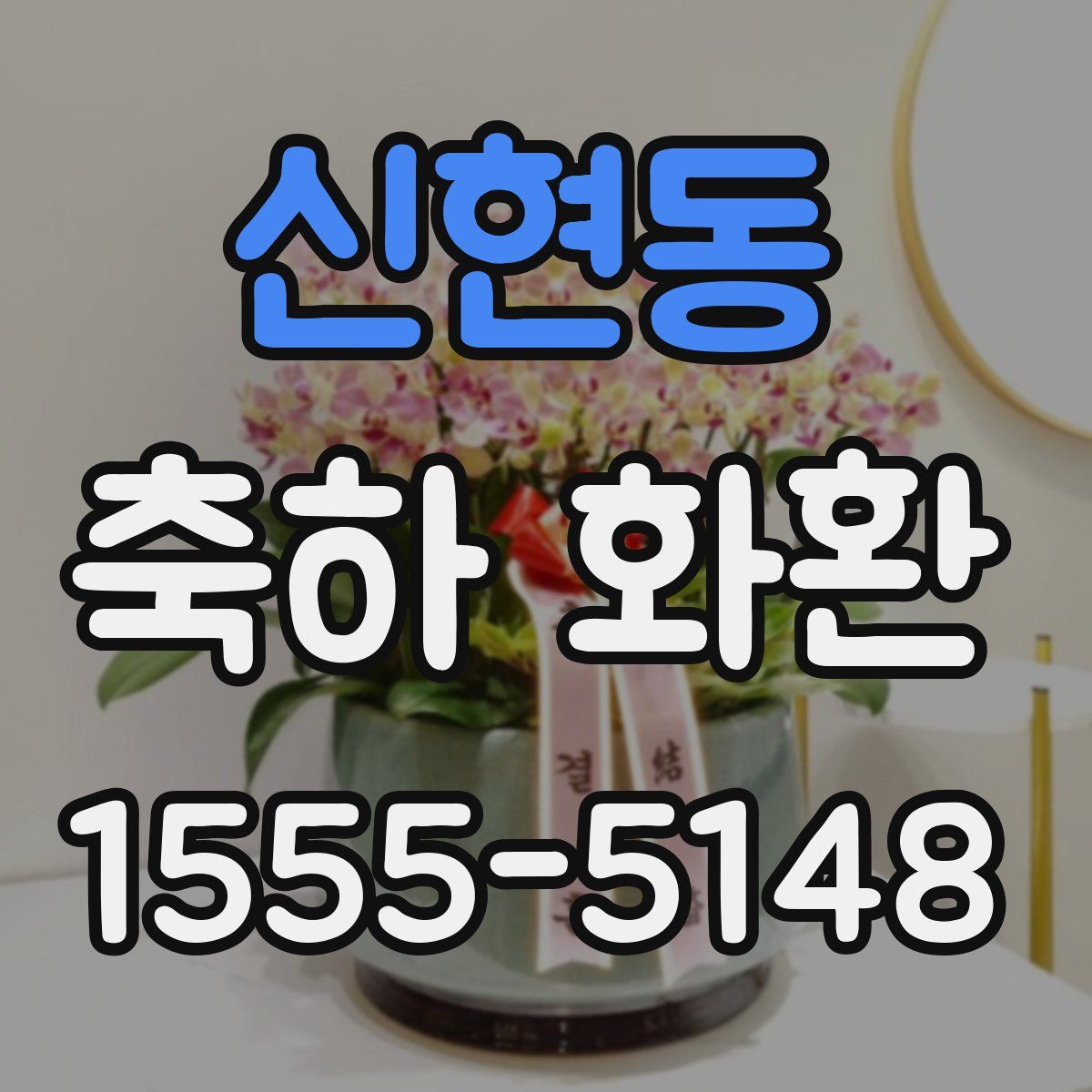 신현동 축하 화환