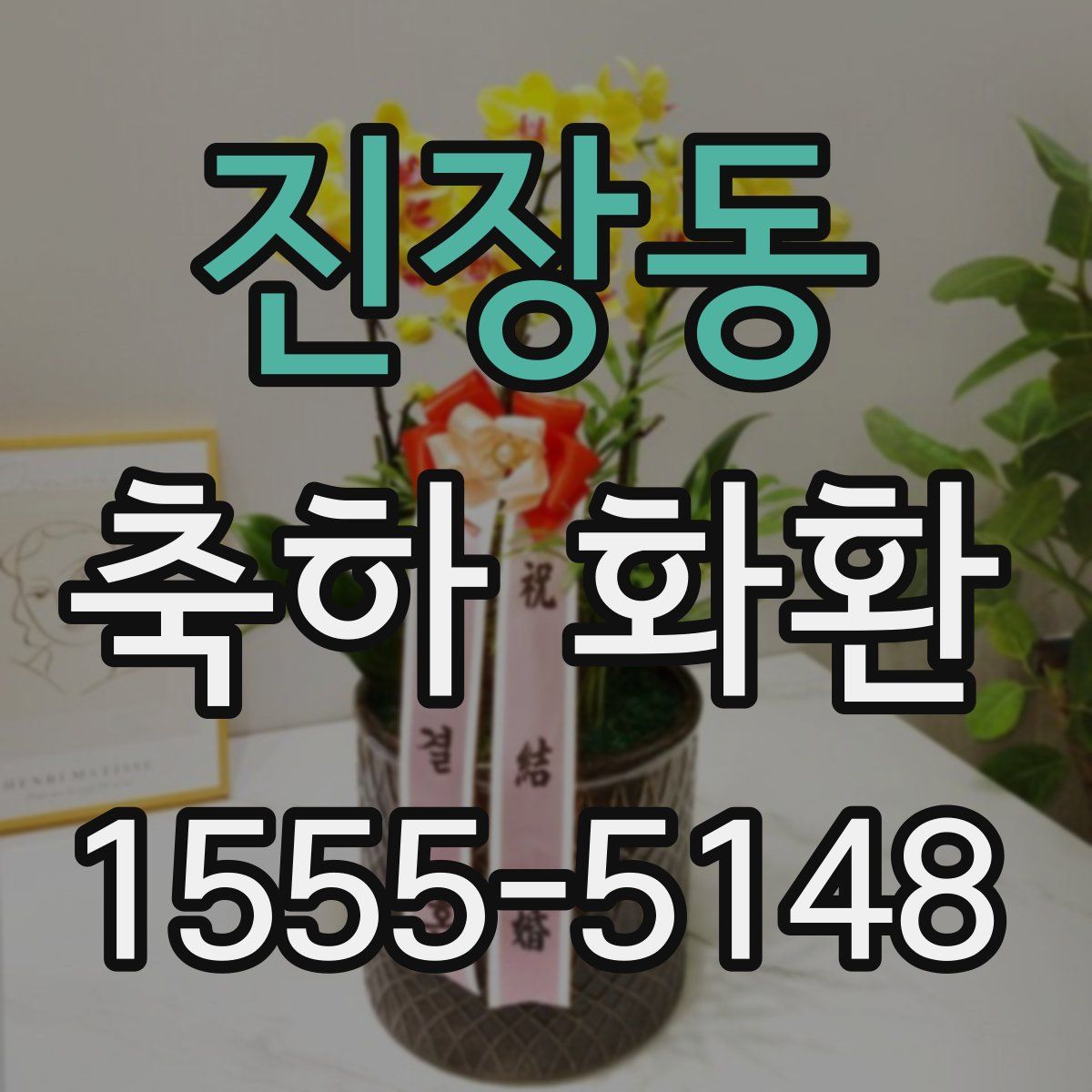 진장동 축하 화환