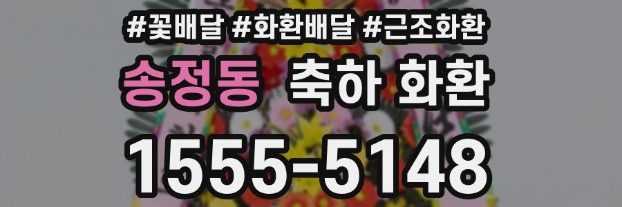 송정동 축하 화환