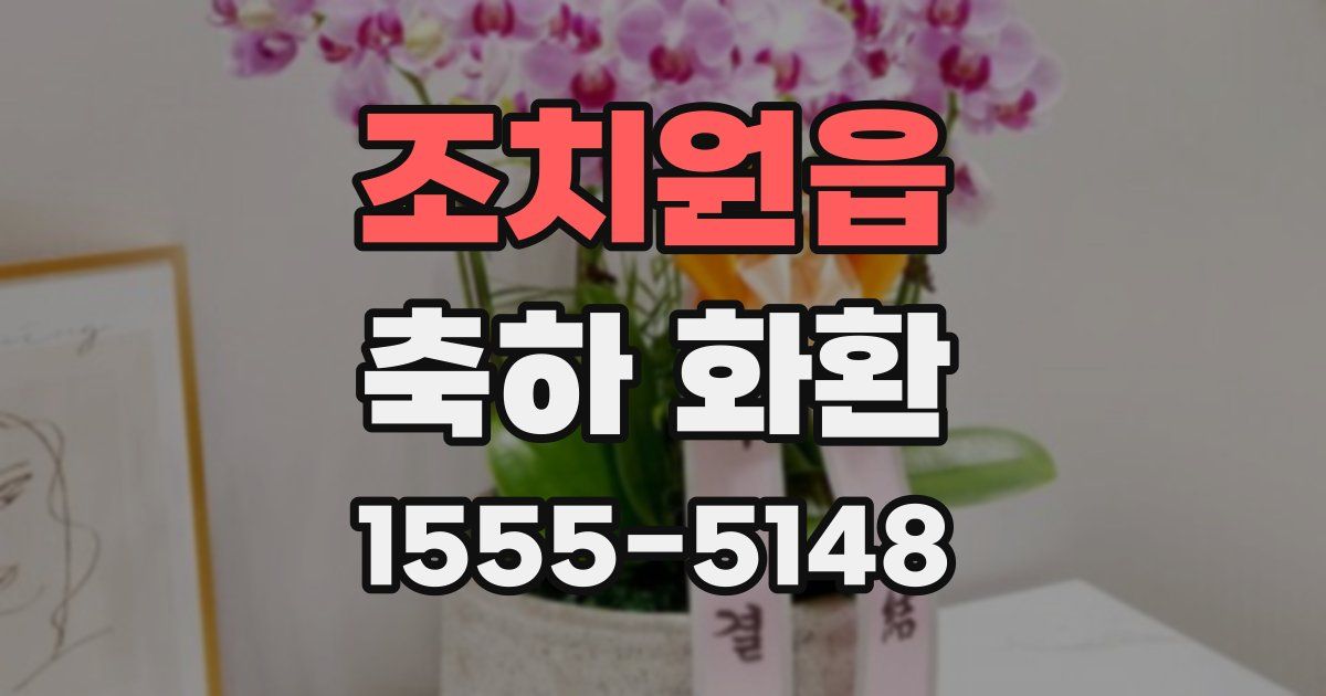 조치원읍 축하 화환