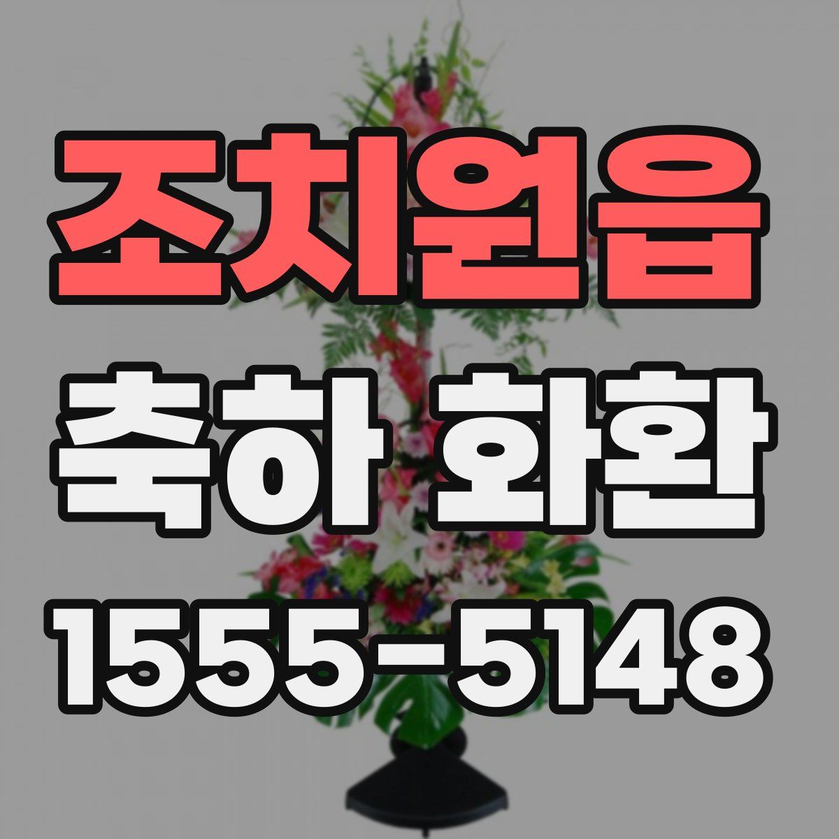 조치원읍 축하 화환