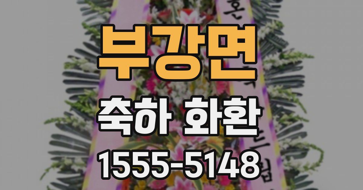 부강면 축하 화환