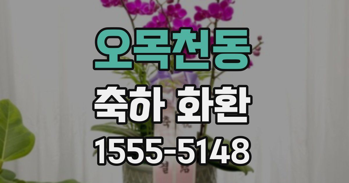 오목천동 축하 화환