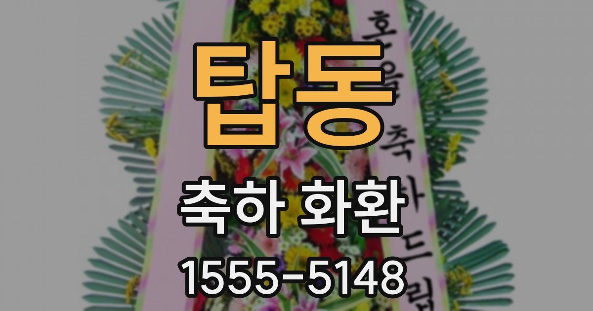 탑동 축하 화환