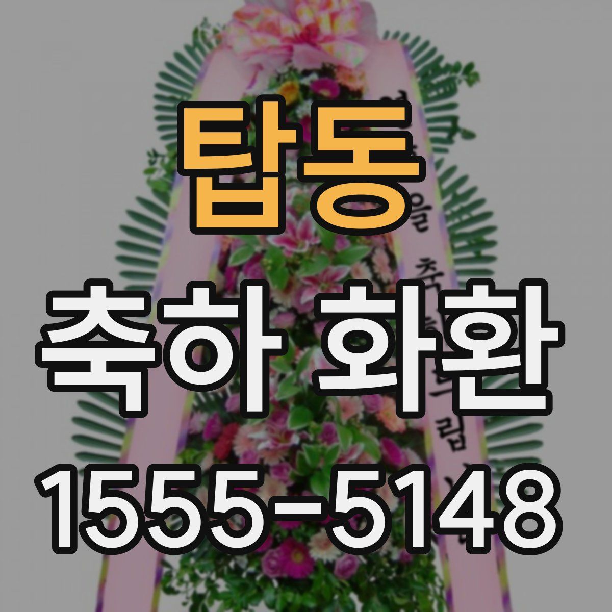 탑동 축하 화환