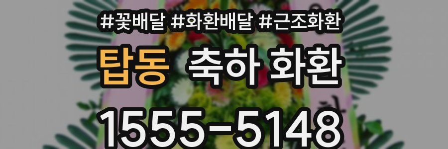 탑동 축하 화환