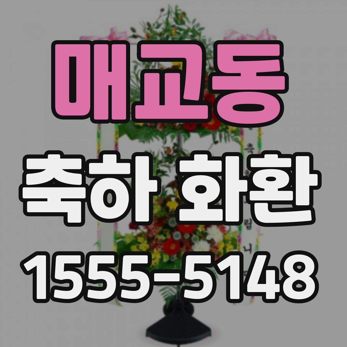 매교동 축하 화환