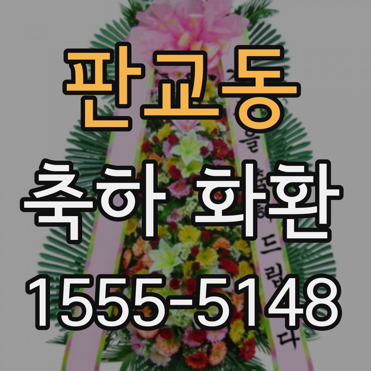 판교동 축하 화환