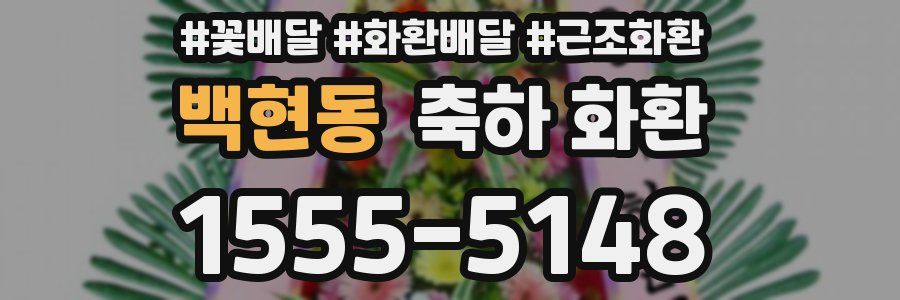 백현동 축하 화환