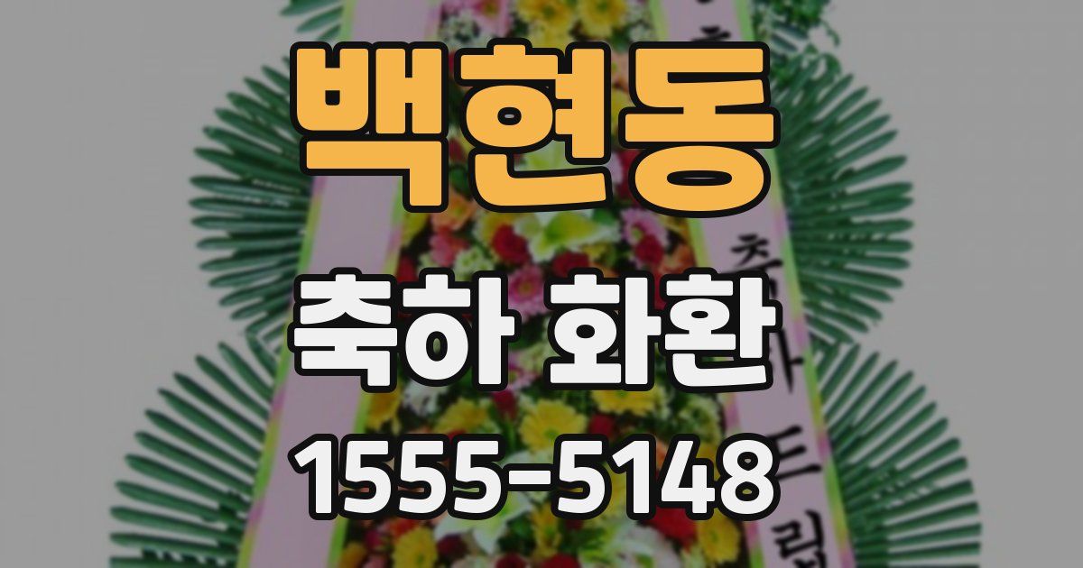 백현동 축하 화환