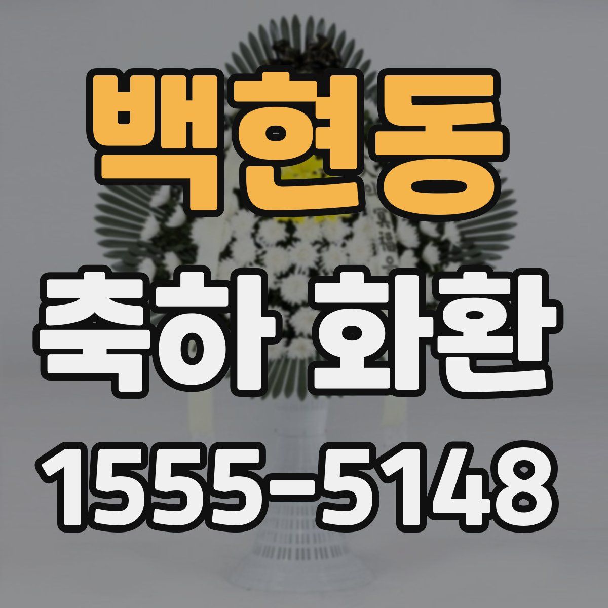 백현동 축하 화환