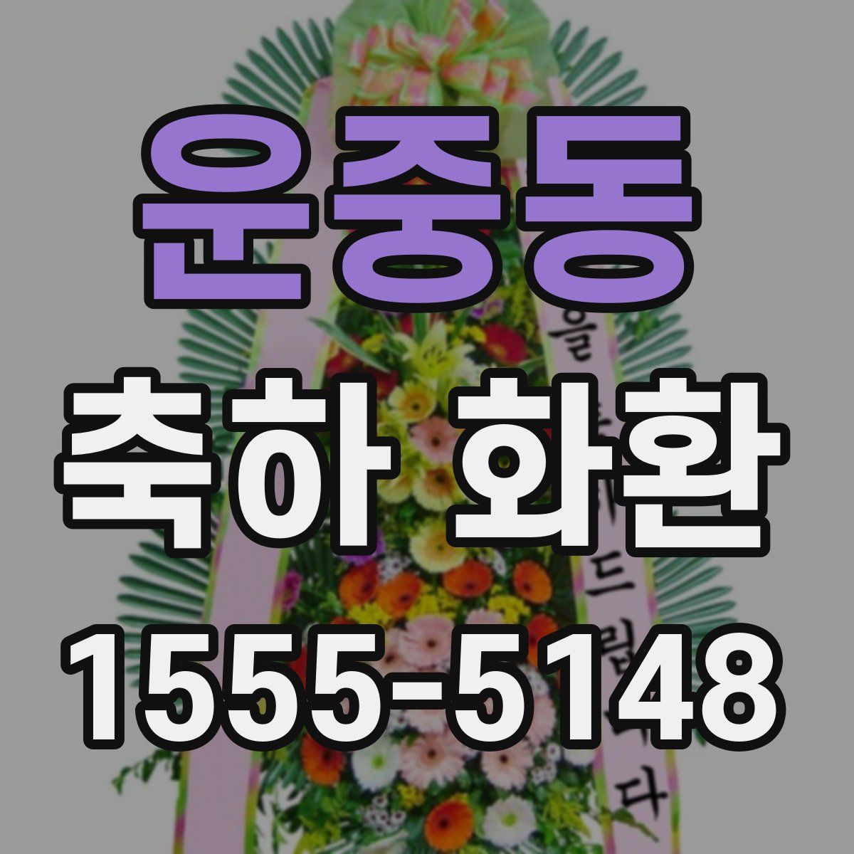 운중동 축하 화환