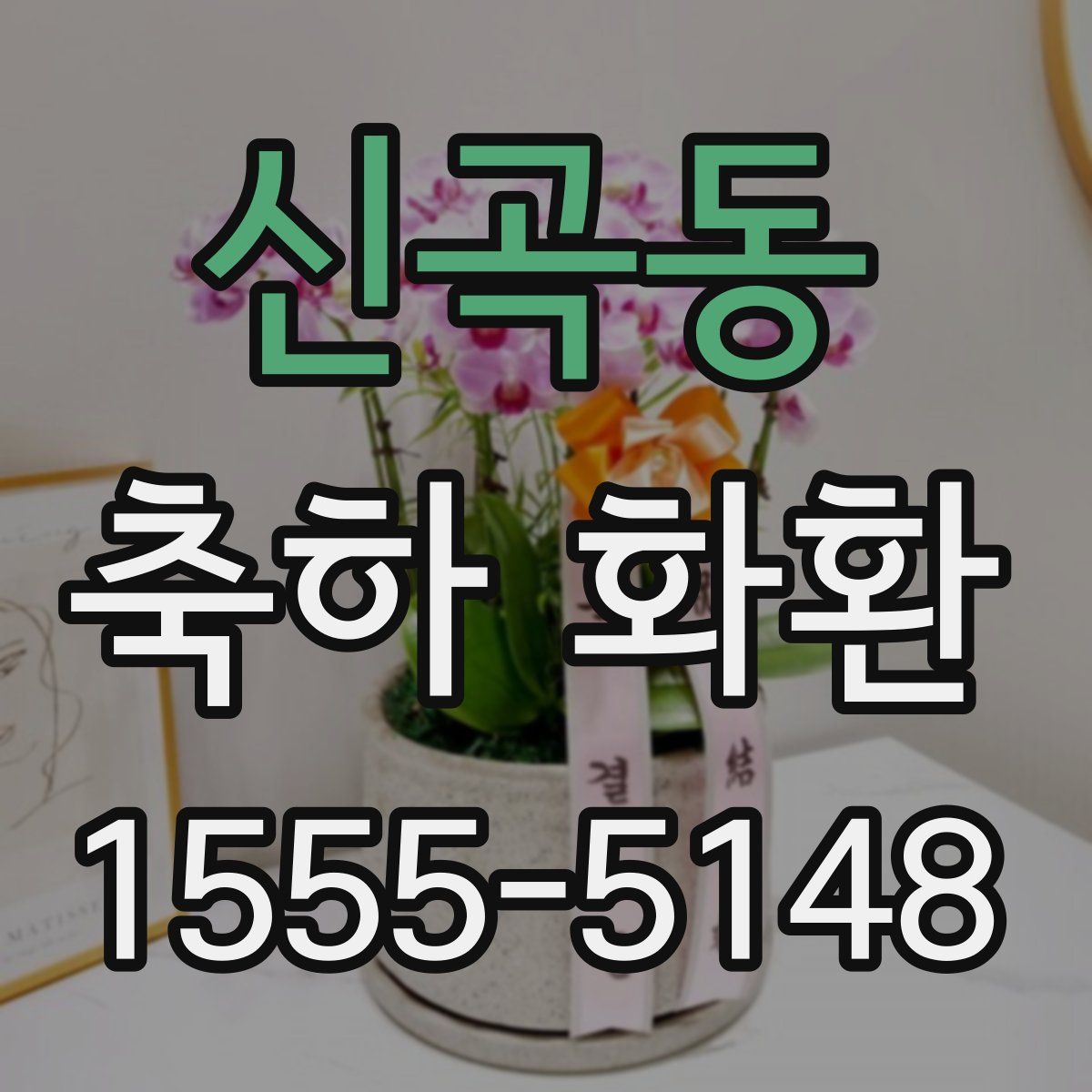 신곡동 축하 화환