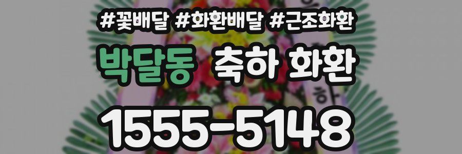 박달동 축하 화환