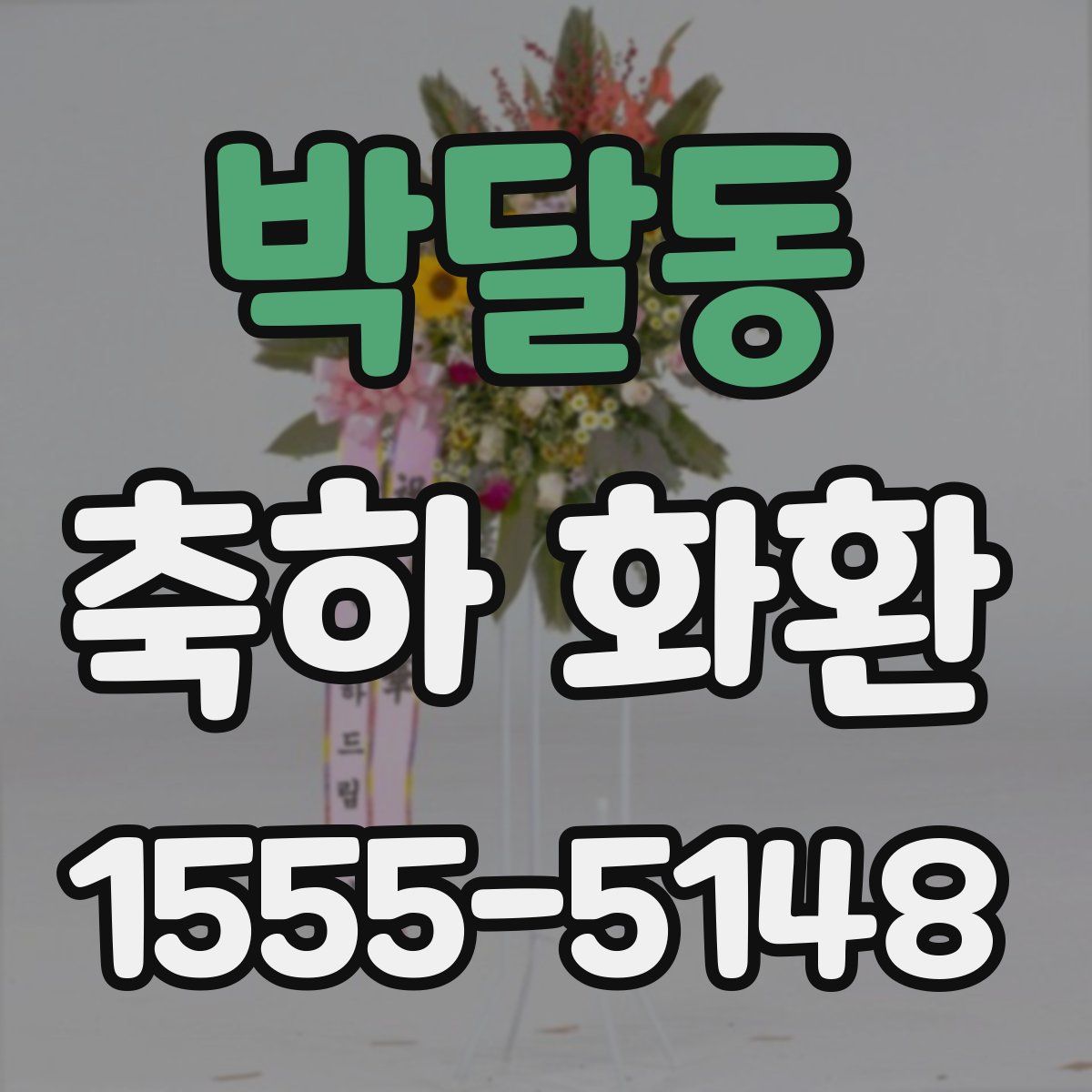 박달동 축하 화환