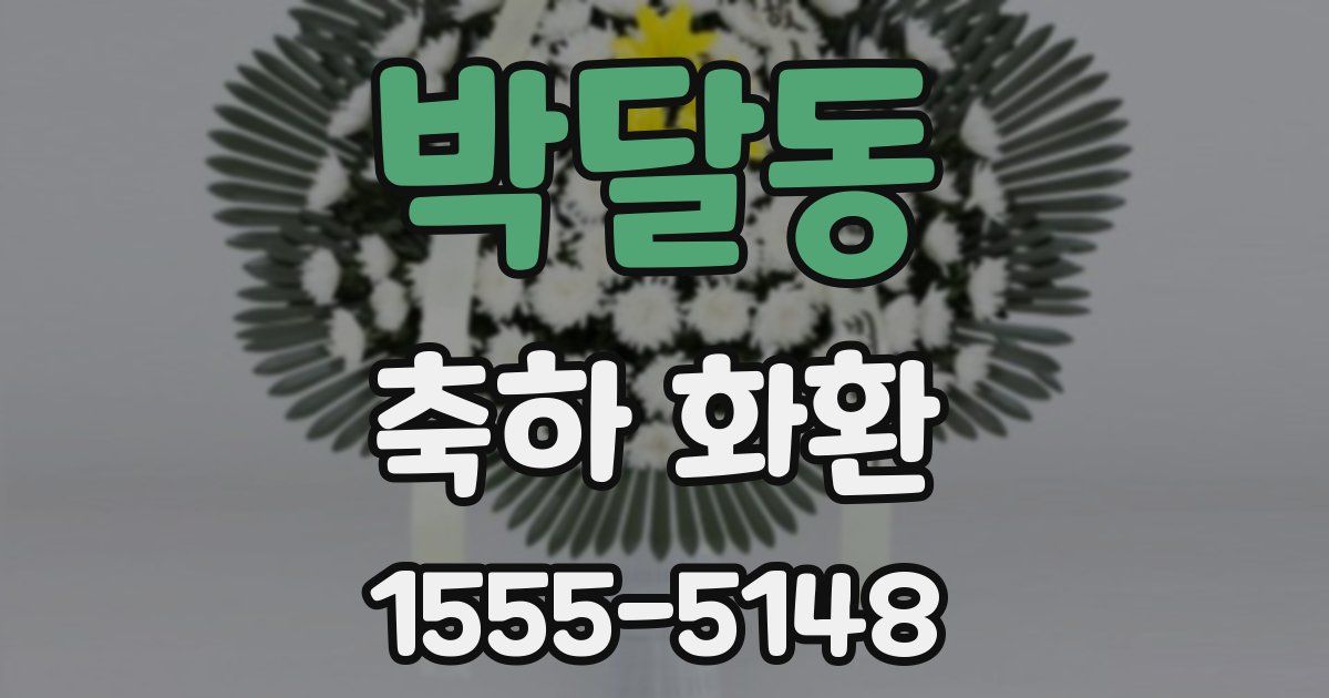 박달동 축하 화환