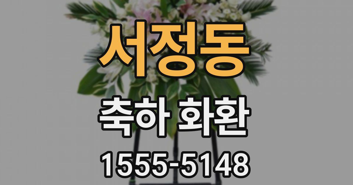 서정동 축하 화환