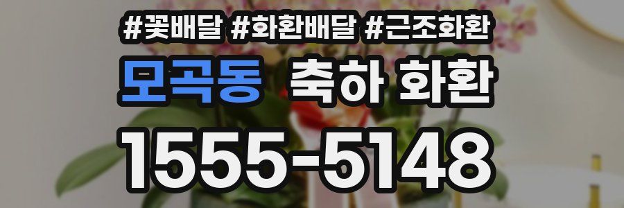 모곡동 축하 화환