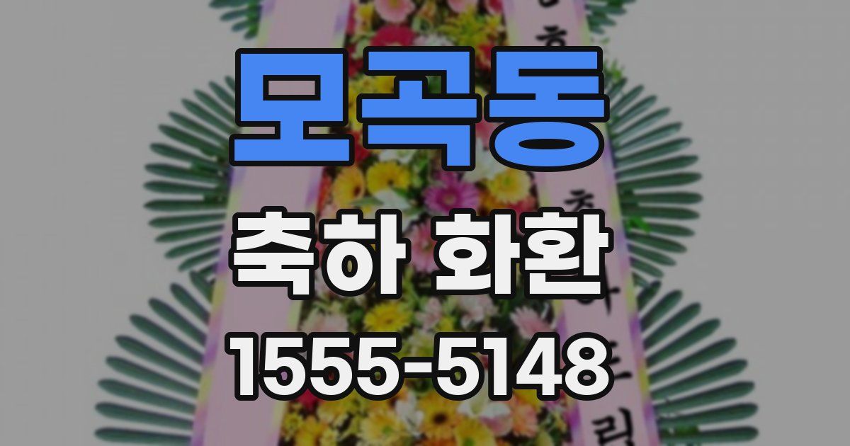 모곡동 축하 화환
