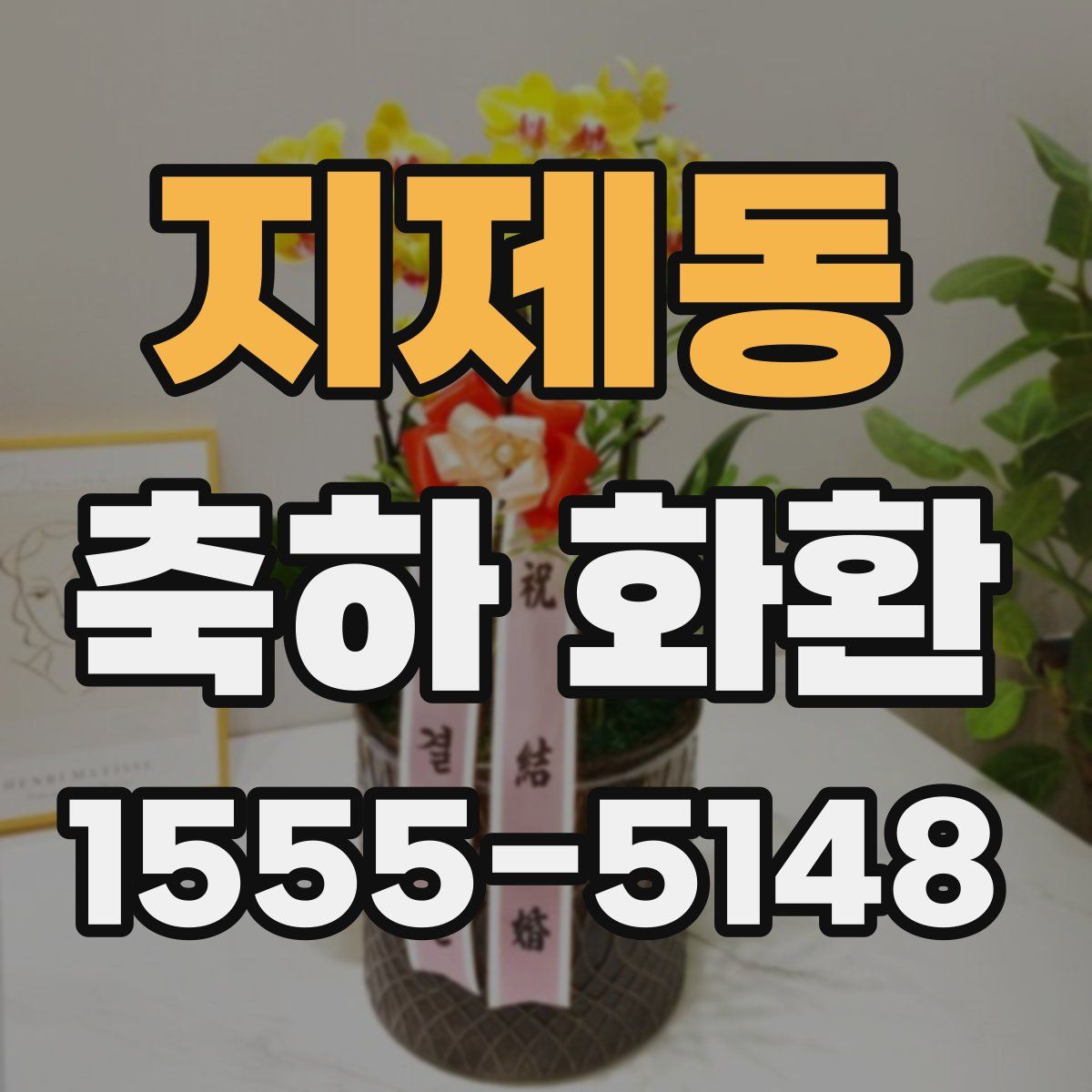 지제동 축하 화환