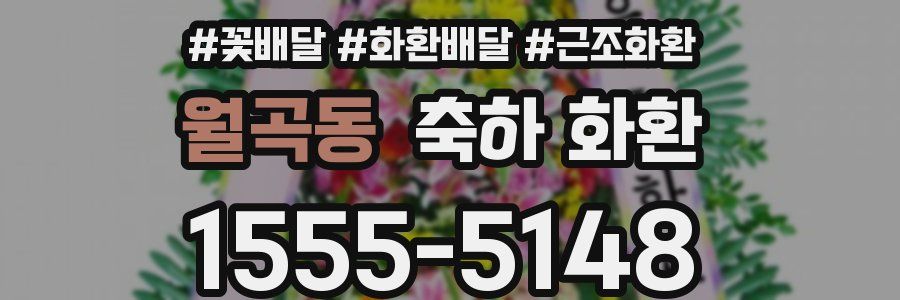 월곡동 축하 화환