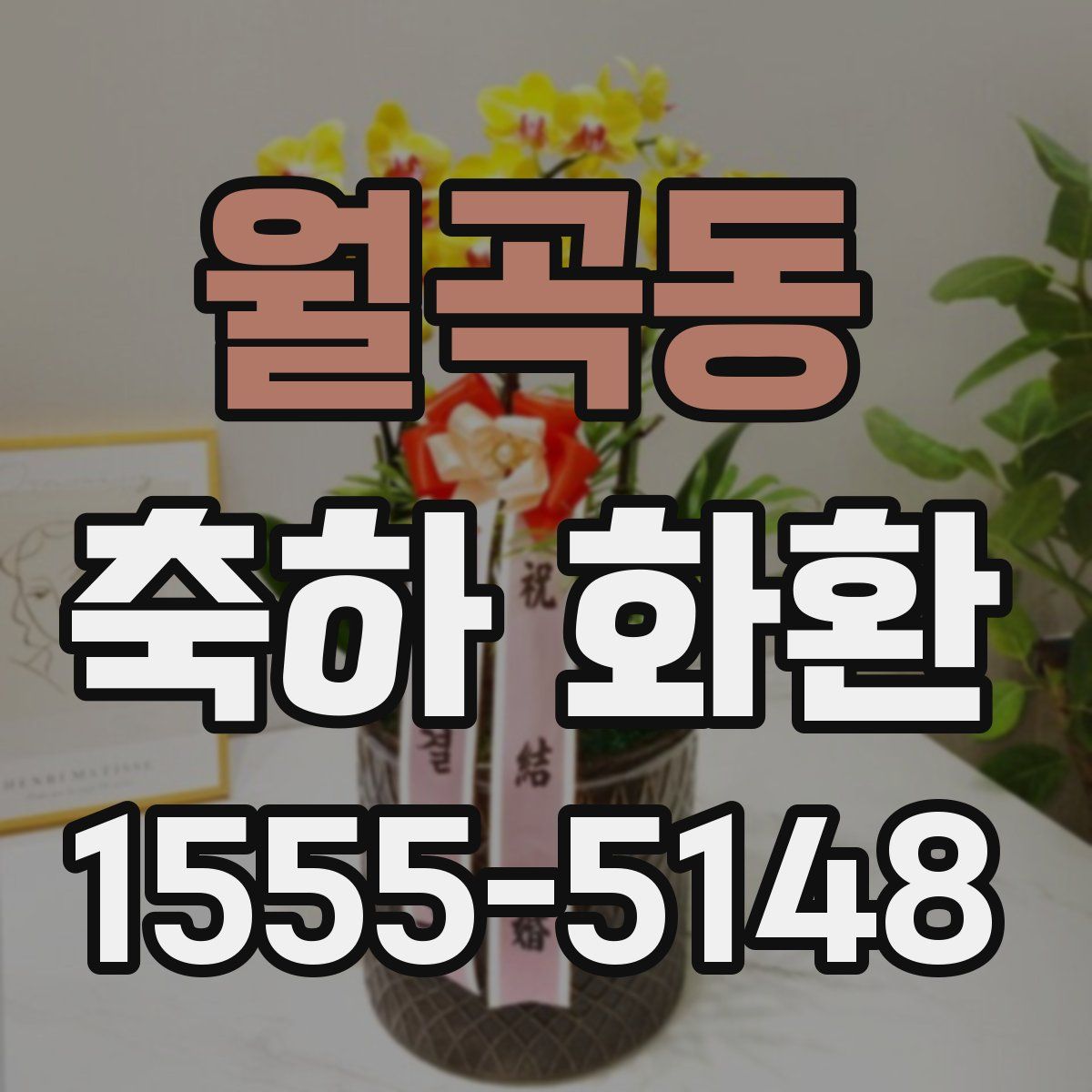 월곡동 축하 화환