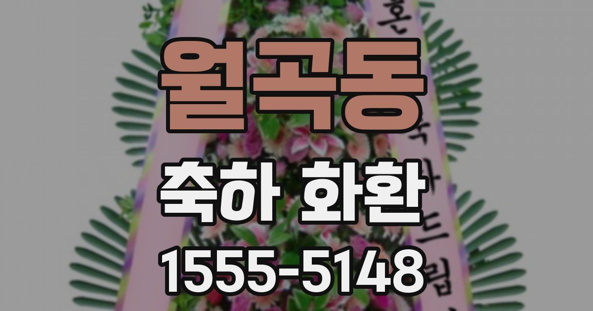 월곡동 축하 화환