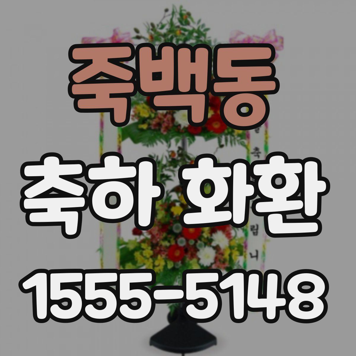 죽백동 축하 화환