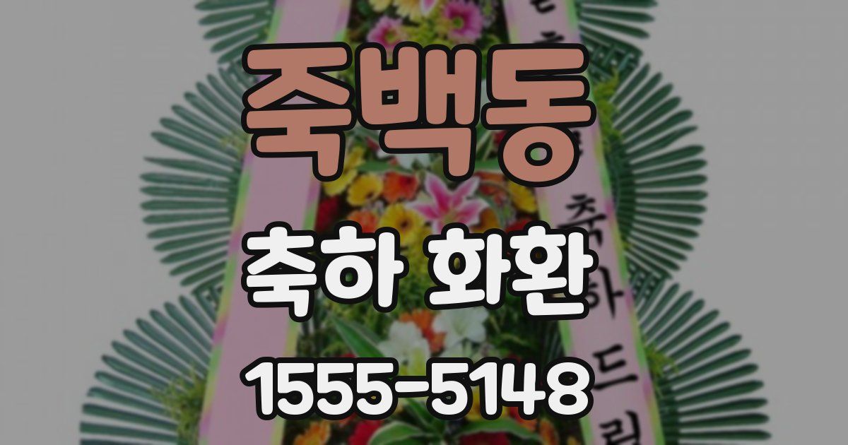죽백동 축하 화환