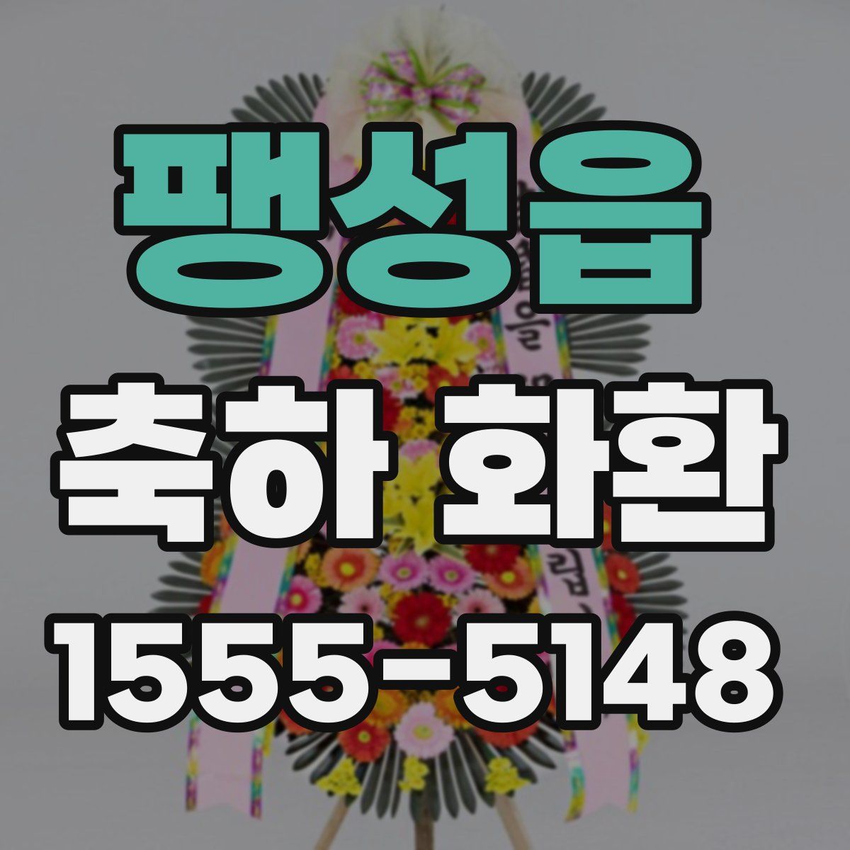 팽성읍 축하 화환